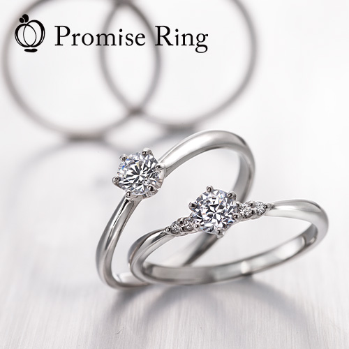 プロミスリング | 婚約指輪・結婚指輪の専門店 タケウチブライダル